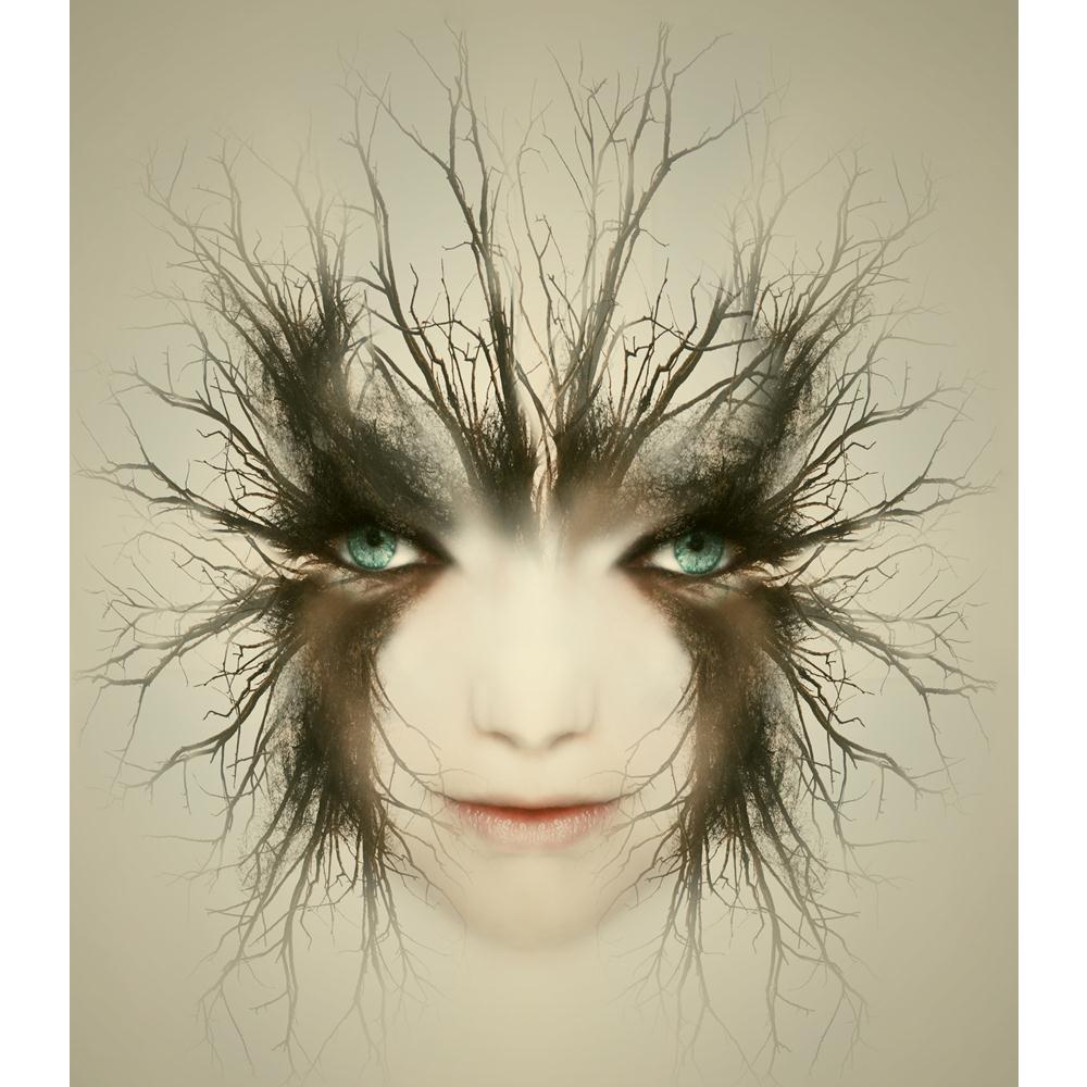 Artistic Portrait Of Young Woman Canvas Painting Synthetic Frame-Paintings MDF Framing-AFF_FR-IC 5003387 IC 5003387, Art and Paintings, Asian, Digital, Digital Art, Fantasy, Gothic, Graphic, Illustrations, Individuals, Nature, Portraits, Realism, Scenic, Surrealism, artistic, portrait, of, young, woman, canvas, painting, synthetic, frame, art, artist, beautiful, branch, caucasian, creativity, decoration, eye, fable, face, fairy, female, human, illustration, imagination, imagine, legendary, metamorphosis, mi