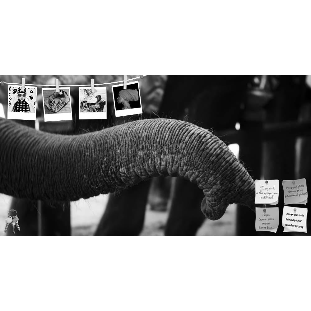 ArtzFolio Asian Elephant In Black & White Printed Bulletin Board Notice Pin Board Soft Board | Frameless-Bulletin Boards Frameless-AZSAO27835692BLB_FL_L-Image Code 5003428 Vishnu Image Folio Pvt Ltd, IC 5003428, ArtzFolio, Bulletin Boards Frameless, Animals, Photography, asian, elephant, in, black, white, printed, bulletin, board, notice, pin, soft, frameless, baby, artistic, wildlife, animal, elepha, pin up board, push pin board, extra large cork board, big pin board, notice board, small bulletin board, co