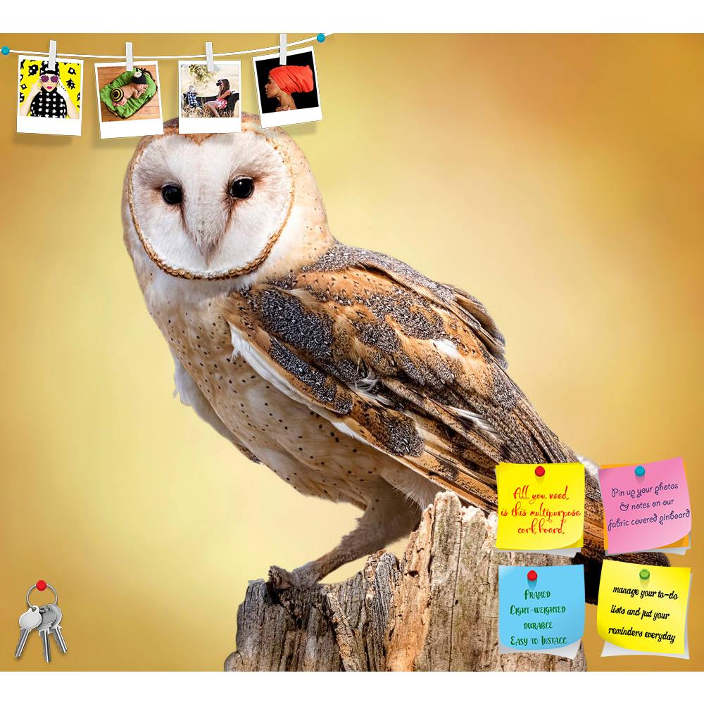 ArtzFolio A Barn Owl Perched On A Tree Printed Bulletin Board Notice Pin Board Soft Board | Frameless-Bulletin Boards Frameless-AZSAO27944160BLB_FL_L-Image Code 5003436 Vishnu Image Folio Pvt Ltd, IC 5003436, ArtzFolio, Bulletin Boards Frameless, Birds, Photography, a, barn, owl, perched, on, tree, printed, bulletin, board, notice, pin, soft, frameless, dead, stump, owls, silent, predators, night, world, lanky, whitish, face, chest, belly, buffy, upperparts, this, roosts, hidden, quiet, places, during, day,