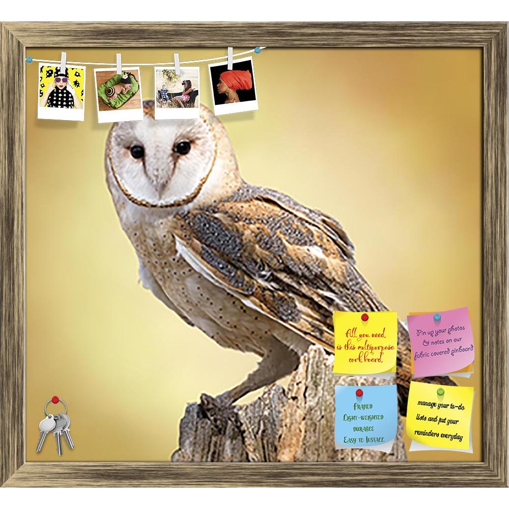 ArtzFolio A Barn Owl Perched On A Tree Printed Bulletin Board Notice Pin Board Soft Board | Framed-Bulletin Boards Framed-AZSAO27944160BLB_FR_L-Image Code 5003436 Vishnu Image Folio Pvt Ltd, IC 5003436, ArtzFolio, Bulletin Boards Framed, Birds, Photography, a, barn, owl, perched, on, tree, printed, bulletin, board, notice, pin, soft, framed, dead, stump, owls, silent, predators, night, world, lanky, whitish, face, chest, belly, buffy, upperparts, this, roosts, hidden, quiet, places, during, day, hunt, buoya