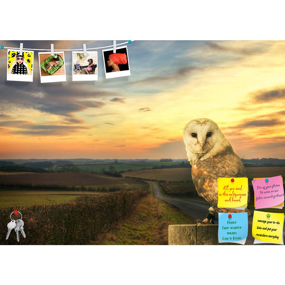 ArtzFolio Barn Owl Printed Bulletin Board Notice Pin Board Soft Board | Frameless-Bulletin Boards Frameless-AZSAO28135067BLB_FL_L-Image Code 5003463 Vishnu Image Folio Pvt Ltd, IC 5003463, ArtzFolio, Bulletin Boards Frameless, Birds, Landscapes, Photography, barn, owl, printed, bulletin, board, notice, pin, soft, frameless, country, side, bird, of, prey, watching, alert, avian, eyes, facial, feather, horizontal, hunter, lanscape, lincolnshire, marking, nature, nobody, outdoors, on, post, perched, plumage, p
