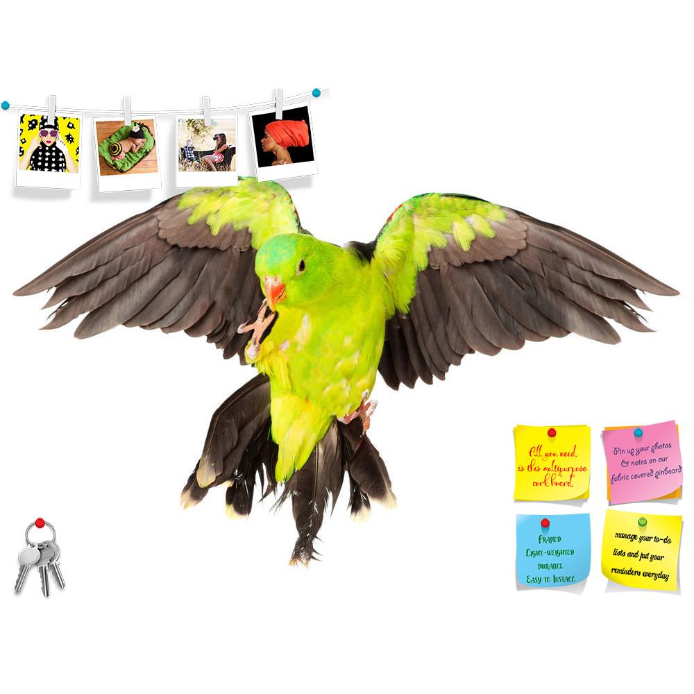 ArtzFolio Red Winged Parrot Printed Bulletin Board Notice Pin Board Soft Board | Frameless-Bulletin Boards Frameless-AZSAO28300319BLB_FL_L-Image Code 5003477 Vishnu Image Folio Pvt Ltd, IC 5003477, ArtzFolio, Bulletin Boards Frameless, Birds, Photography, red, winged, parrot, printed, bulletin, board, notice, pin, soft, frameless, red-winged, aprosmictus, erythropterus, isolated, white, background, alone, animal, australia, australian, beak, bird, bright, color, colorful, colourful, cute, domestic, exotic, 