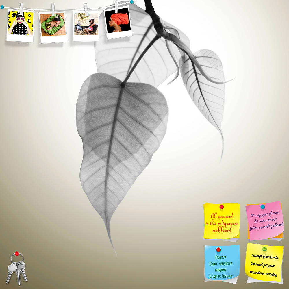 ArtzFolio Bodhi Leaves Budding Under Sunlight Printed Bulletin Board Notice Pin Board Soft Board | Frameless-Bulletin Boards Frameless-AZSAO28406193BLB_FL_L-Image Code 5003486 Vishnu Image Folio Pvt Ltd, IC 5003486, ArtzFolio, Bulletin Boards Frameless, Floral, Digital Art, bodhi, leaves, budding, under, sunlight, printed, bulletin, board, notice, pin, soft, frameless, abstract, art, autumn, background, b&w, black, and, white, bodhgaya, branch, bright, buddha, buddhist, copyspace, decor, decorate, flora, fo