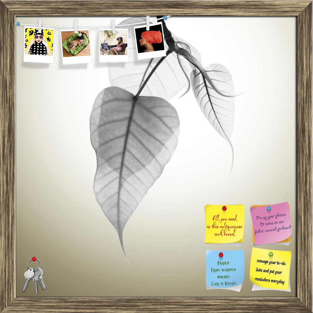 ArtzFolio Bodhi Leaves Budding Under Sunlight Printed Bulletin Board Notice Pin Board Soft Board | Framed-Bulletin Boards Framed-AZSAO28406193BLB_FR_L-Image Code 5003486 Vishnu Image Folio Pvt Ltd, IC 5003486, ArtzFolio, Bulletin Boards Framed, Floral, Digital Art, bodhi, leaves, budding, under, sunlight, printed, bulletin, board, notice, pin, soft, framed, abstract, art, autumn, background, b&w, black, and, white, bodhgaya, branch, bright, buddha, buddhist, copyspace, decor, decorate, flora, foliage, fores