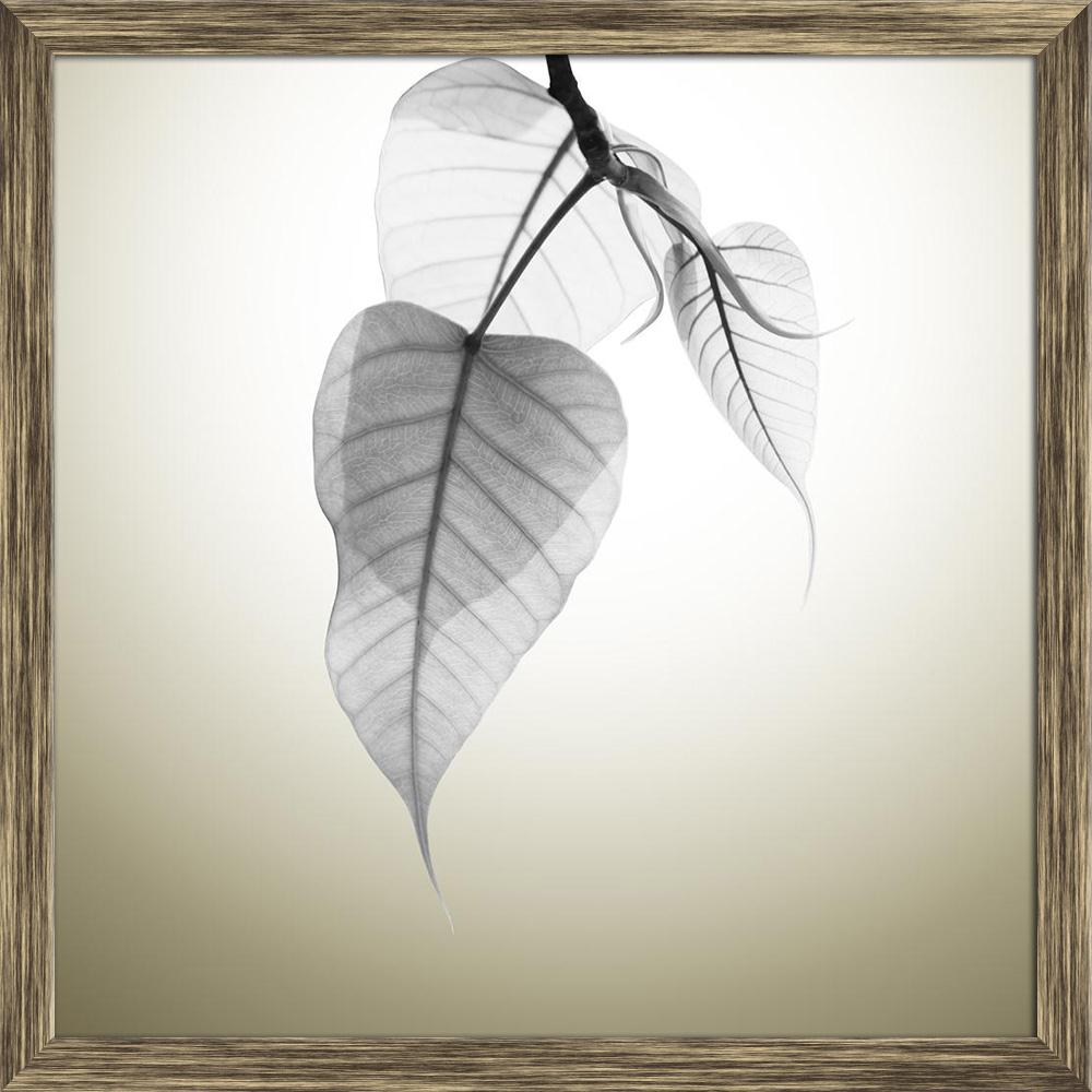 Pitaara Box Bodhi Leaves Budding Under Sunlight Canvas Painting Synthetic Frame-Paintings Synthetic Framing-PBART28406193AFF_FW_L-Image Code 5003486 Vishnu Image Folio Pvt Ltd, IC 5003486, Pitaara Box, Paintings Synthetic Framing, Floral, Digital Art, bodhi, leaves, budding, under, sunlight, canvas, painting, synthetic, frame, abstract, art, autumn, background, b&w, black, and, white, bodhgaya, branch, bright, buddha, buddhist, copyspace, decor, decorate, flora, foliage, forest, fresh, garden, gaya, grow, g