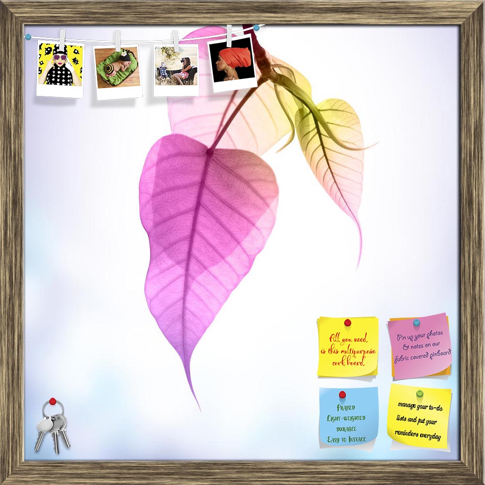 ArtzFolio Pink Pho Or Bodhi Leaves Buds Under Sunlight Printed Bulletin Board Notice Pin Board Soft Board | Framed-Bulletin Boards Framed-AZSAO28406205BLB_FR_L-Image Code 5003487 Vishnu Image Folio Pvt Ltd, IC 5003487, ArtzFolio, Bulletin Boards Framed, Floral, Digital Art, pink, pho, or, bodhi, leaves, buds, under, sunlight, printed, bulletin, board, notice, pin, soft, framed, abstract, art, autumn, background, bodhgaya, branch, bright, buddha, buddhist, cold, color, copyspace, decor, decorate, flora, foli