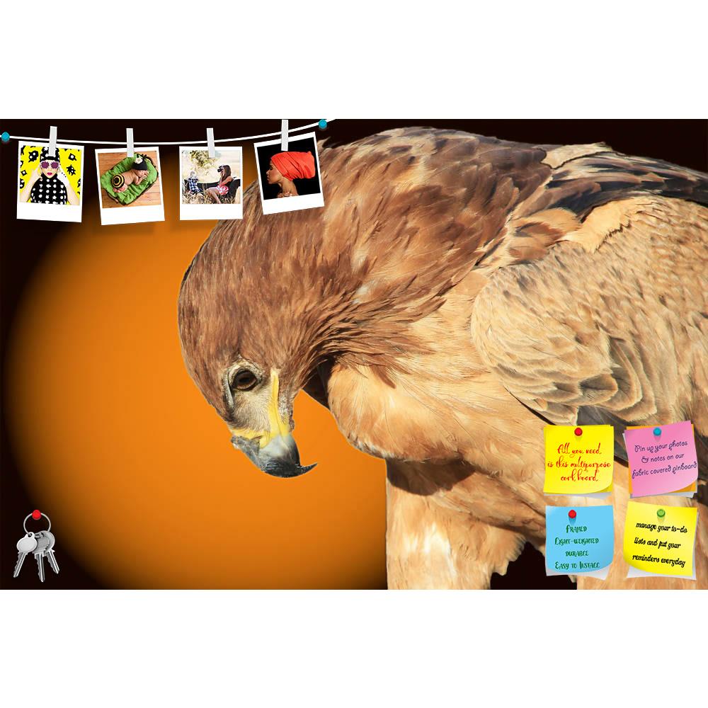 ArtzFolio Tawny Eagle Wildlife Background From Africa D1 Printed Bulletin Board Notice Pin Board Soft Board | Frameless-Bulletin Boards Frameless-AZSAO28424236BLB_FL_L-Image Code 5003492 Vishnu Image Folio Pvt Ltd, IC 5003492, ArtzFolio, Bulletin Boards Frameless, Birds, Photography, tawny, eagle, wildlife, background, from, africa, d1, printed, bulletin, board, notice, pin, soft, frameless, graceful, harmony, color, light, pin up board, push pin board, extra large cork board, big pin board, notice board, s