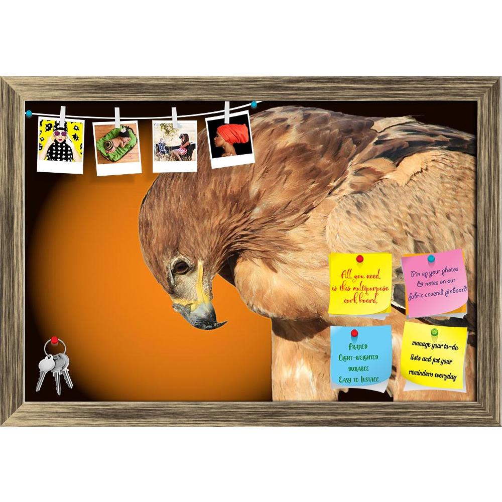 ArtzFolio Tawny Eagle Wildlife Background From Africa D1 Printed Bulletin Board Notice Pin Board Soft Board | Framed-Bulletin Boards Framed-AZSAO28424236BLB_FR_L-Image Code 5003492 Vishnu Image Folio Pvt Ltd, IC 5003492, ArtzFolio, Bulletin Boards Framed, Birds, Photography, tawny, eagle, wildlife, background, from, africa, d1, printed, bulletin, board, notice, pin, soft, framed, graceful, harmony, color, light, pin up board, push pin board, extra large cork board, big pin board, notice board, small bulleti