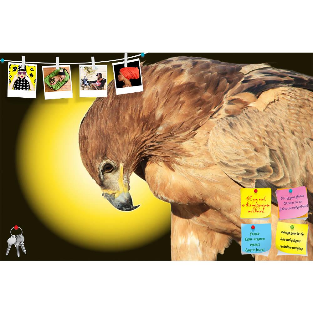 ArtzFolio Tawny Eagle Wildlife Background From Africa D2 Printed Bulletin Board Notice Pin Board Soft Board | Frameless-Bulletin Boards Frameless-AZSAO28424237BLB_FL_L-Image Code 5003493 Vishnu Image Folio Pvt Ltd, IC 5003493, ArtzFolio, Bulletin Boards Frameless, Birds, Photography, tawny, eagle, wildlife, background, from, africa, d2, printed, bulletin, board, notice, pin, soft, frameless, golden, bow, pin up board, push pin board, extra large cork board, big pin board, notice board, small bulletin board,