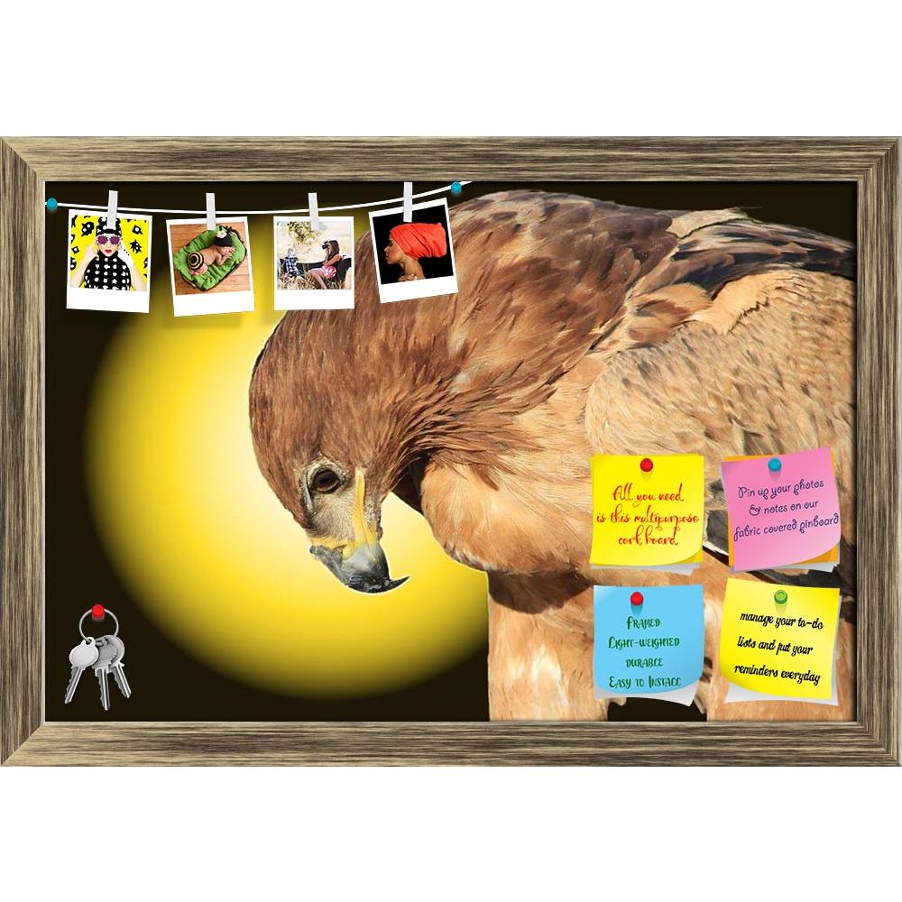 ArtzFolio Tawny Eagle Wildlife Background From Africa D2 Printed Bulletin Board Notice Pin Board Soft Board | Framed-Bulletin Boards Framed-AZSAO28424237BLB_FR_L-Image Code 5003493 Vishnu Image Folio Pvt Ltd, IC 5003493, ArtzFolio, Bulletin Boards Framed, Birds, Photography, tawny, eagle, wildlife, background, from, africa, d2, printed, bulletin, board, notice, pin, soft, framed, golden, bow, pin up board, push pin board, extra large cork board, big pin board, notice board, small bulletin board, cork board,