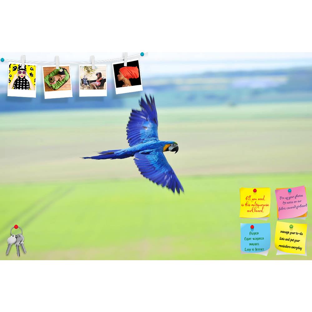 ArtzFolio Flying Blue & Yellow Macaw Printed Bulletin Board Notice Pin Board Soft Board | Frameless-Bulletin Boards Frameless-AZSAO28608246BLB_FL_L-Image Code 5003510 Vishnu Image Folio Pvt Ltd, IC 5003510, ArtzFolio, Bulletin Boards Frameless, Birds, Photography, flying, blue, yellow, macaw, printed, bulletin, board, notice, pin, soft, frameless, blue-and-yellow, macaw-, ara, ararauna, side, upon, fields, animal, green, parrot, fly, wings, motion, bird, beak, eyes, feather, pets, young, colorful, pet, feat