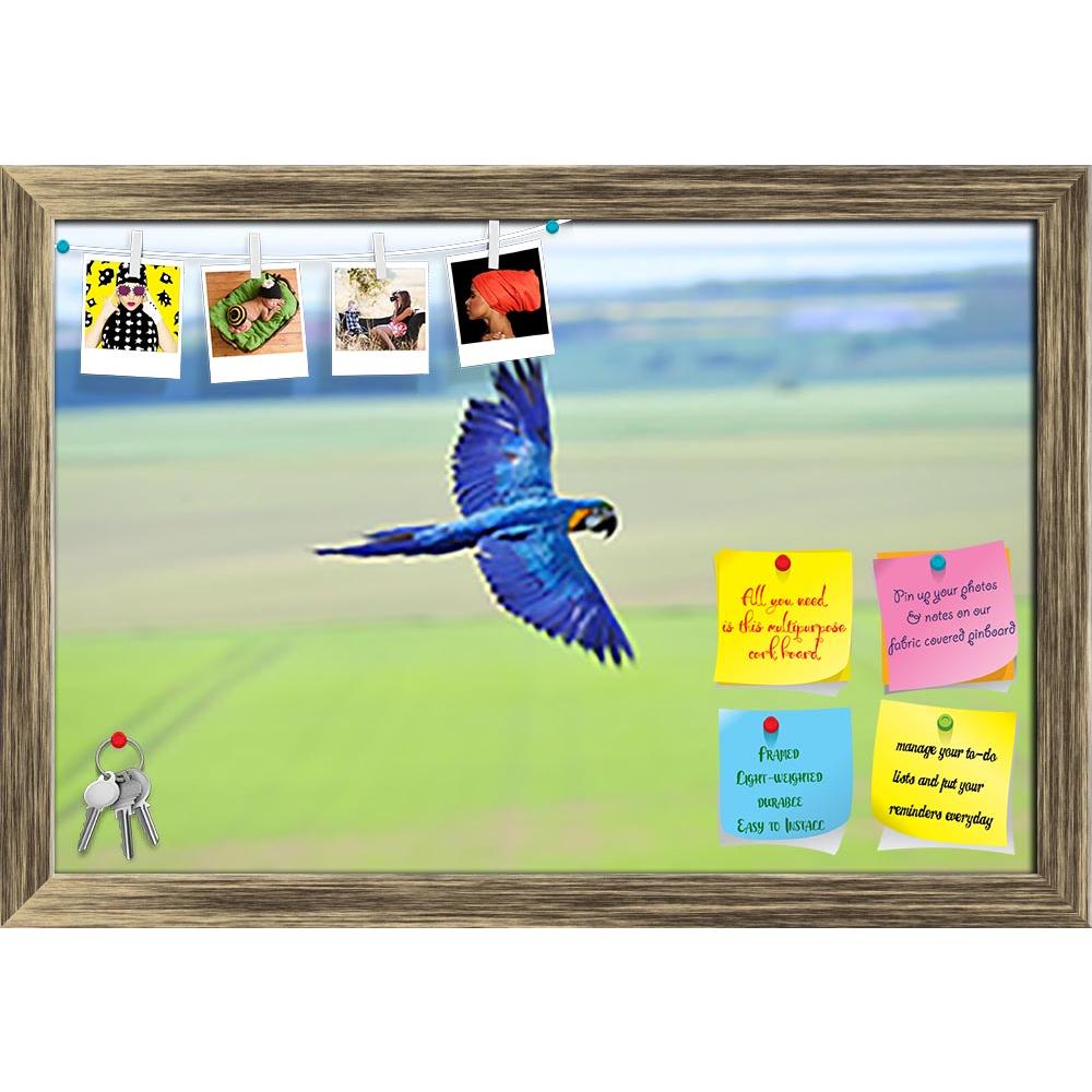ArtzFolio Flying Blue & Yellow Macaw Printed Bulletin Board Notice Pin Board Soft Board | Framed-Bulletin Boards Framed-AZSAO28608246BLB_FR_L-Image Code 5003510 Vishnu Image Folio Pvt Ltd, IC 5003510, ArtzFolio, Bulletin Boards Framed, Birds, Photography, flying, blue, yellow, macaw, printed, bulletin, board, notice, pin, soft, framed, blue-and-yellow, macaw-, ara, ararauna, side, upon, fields, animal, green, parrot, fly, wings, motion, bird, beak, eyes, feather, pets, young, colorful, pet, feathers, nature