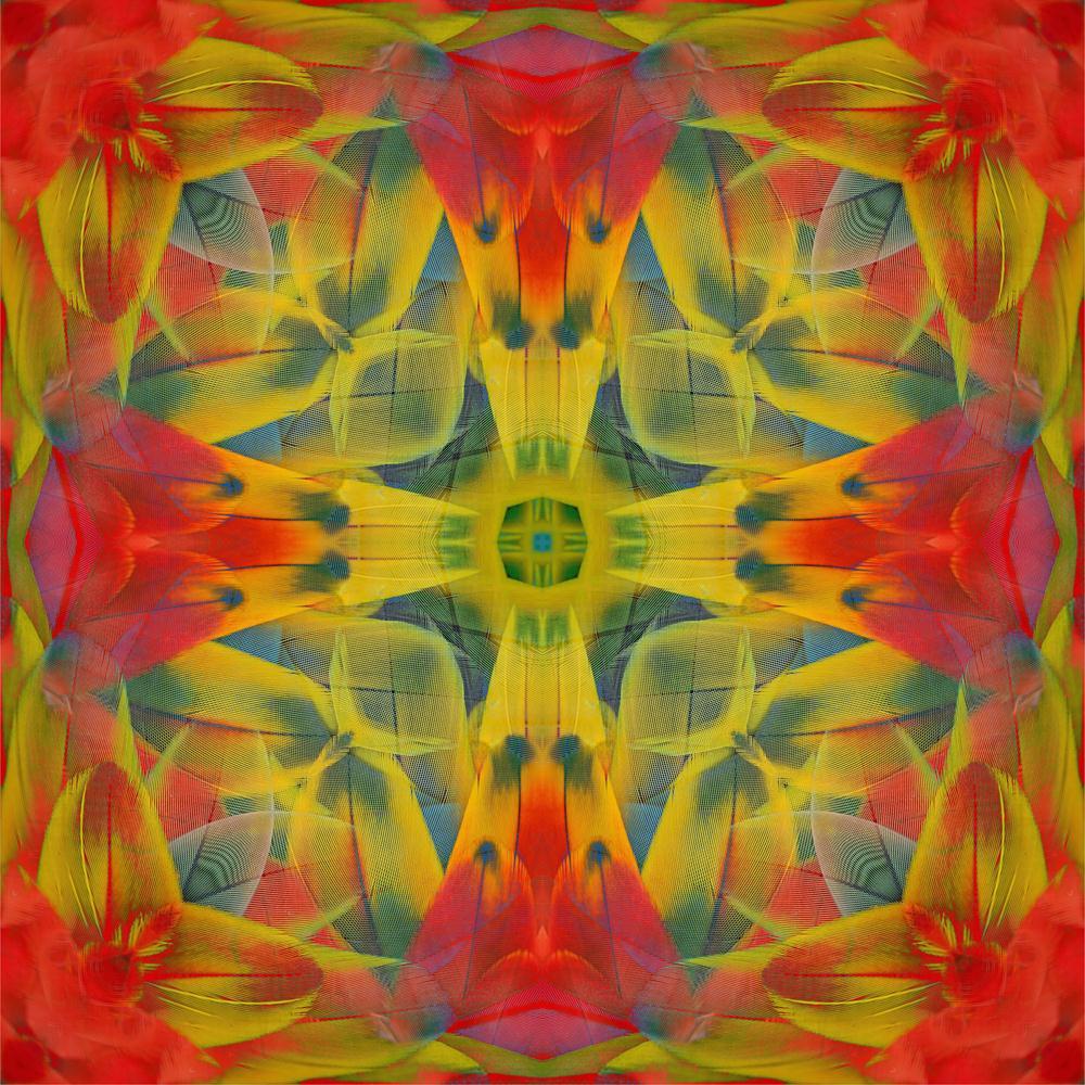 Scarlet Macaw Feathers Canvas Painting Synthetic Frame-Paintings MDF Framing-AFF_FR-IC 5003540 IC 5003540, Abstract Expressionism, Abstracts, Animals, Birds, Nature, Patterns, Scenic, Semi Abstract, Tropical, Wildlife, scarlet, macaw, feathers, canvas, painting, synthetic, frame, abstract, animal, avian, beautiful, beauty, bird, blue, bright, closeup, color, colorful, detail, exotic, feather, gold, gorgeous, green, jungle, multicolored, parrot, pattern, plumage, rainbow, red, seamless, texture, vivid, wing,