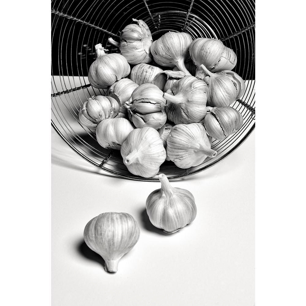 ArtzFolio Photo of Black & White Garlic Unframed Paper Poster-Paper Posters Unframed-AZART29515981POS_UN_L-Image Code 5003606 Vishnu Image Folio Pvt Ltd, IC 5003606, ArtzFolio, Paper Posters Unframed, Food & Beverage, Photography, photo, of, black, white, garlic, unframed, paper, poster, wall, large, size, for, living, room, home, decoration, big, framed, decor, posters, pitaara, box, modern, art, with, frame, bedroom, amazonbasics, door, drawing, small, decorative, office, reception, multiple, friends, ima