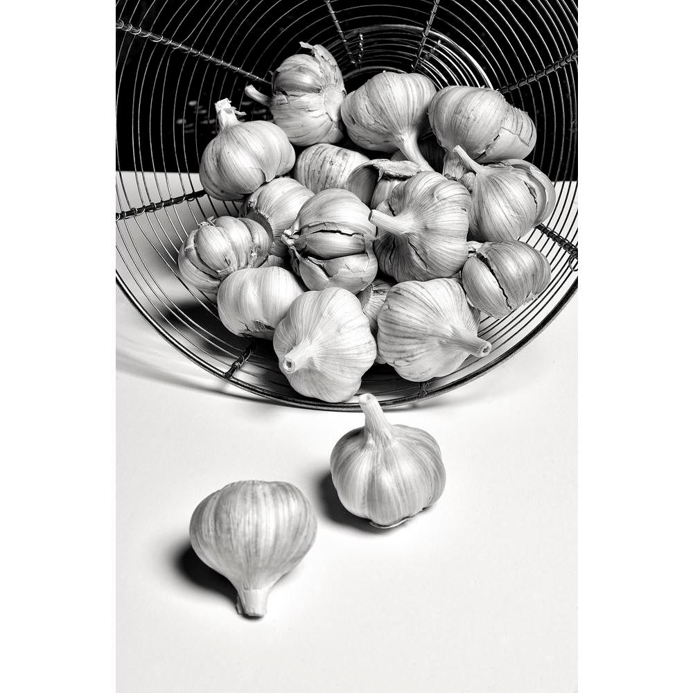 Photo of Black & White Garlic Canvas Painting Synthetic Frame-Paintings MDF Framing-AFF_FR-IC 5003606 IC 5003606, Art and Paintings, Black, Black and White, Digital, Digital Art, Graphic, White, photo, of, garlic, canvas, painting, synthetic, frame, a, fine, art, photograph, artzfolio, wall decor for living room, wall frames for living room, frames for living room, wall art, canvas painting, wall frame, scenery, panting, paintings for living room, framed wall art, wall painting, scenery painting, framed wal