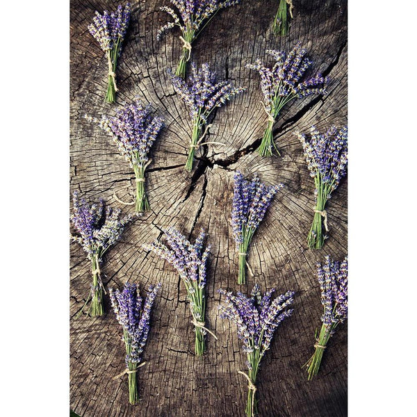 Lavender Flower Bunch On Wood D1 Unframed Paper Poster-Paper Posters Unframed-POS_UN-IC 5003639 IC 5003639, Ancient, Botanical, Decorative, Floral, Flowers, Historical, Medieval, Nature, Scenic, Signs, Signs and Symbols, Space, Vintage, Wooden, lavender, flower, bunch, on, wood, d1, unframed, paper, wall, poster, apothecary, aroma, aromatic, background, bloom, blossom, blue, bouquet, bud, copy, decoration, design, flavor, flora, fragrant, fresh, garden, gardening, herb, herbal, isolated, natural, old, organ