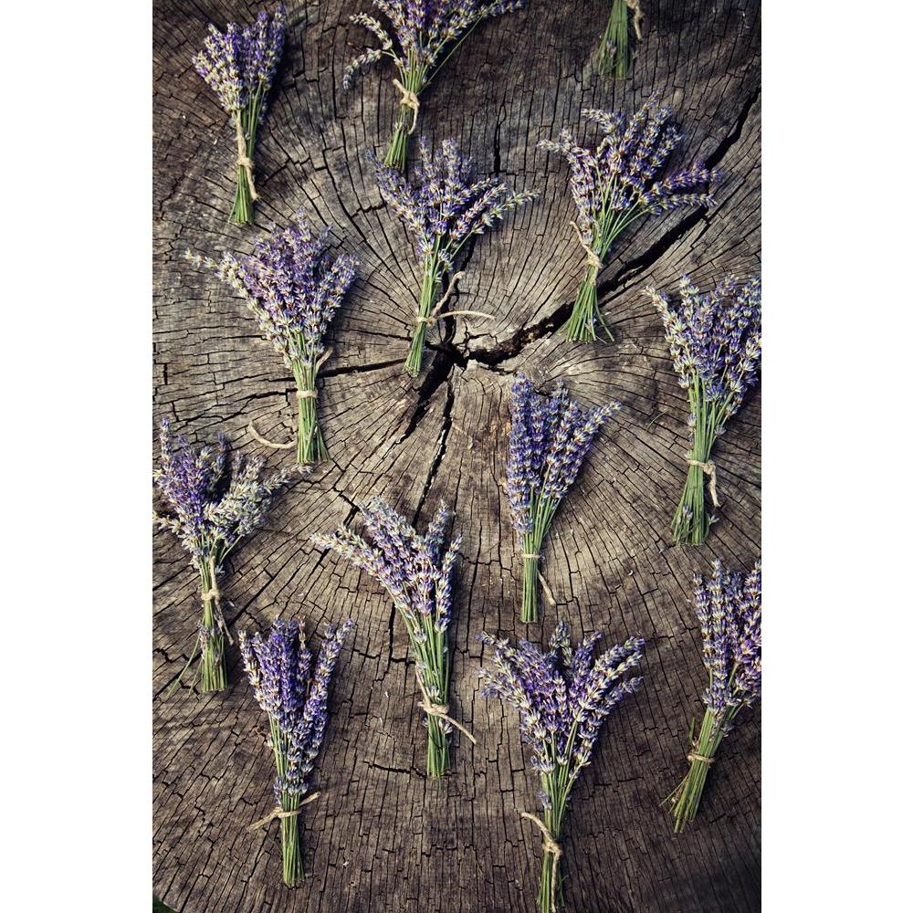 Lavender Flower Bunch On Wood Canvas Painting Synthetic Frame-Paintings MDF Framing-AFF_FR-IC 5003639 IC 5003639, Ancient, Botanical, Decorative, Floral, Flowers, Historical, Medieval, Nature, Scenic, Signs, Signs and Symbols, Space, Vintage, Wooden, lavender, flower, bunch, on, wood, canvas, painting, synthetic, frame, apothecary, aroma, aromatic, background, bloom, blossom, blue, bouquet, bud, copy, decoration, design, flavor, flora, fragrant, fresh, garden, gardening, herb, herbal, isolated, natural, old