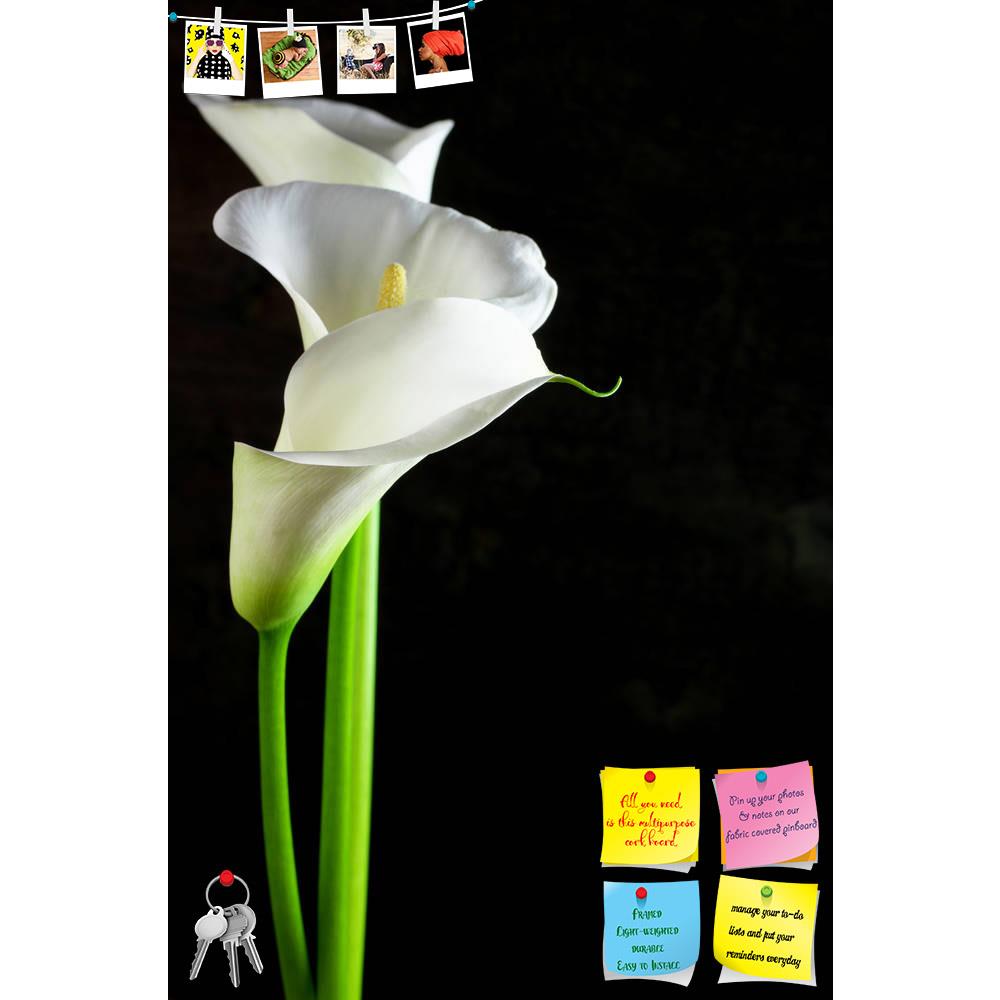ArtzFolio Bouquet Of Calla Lilies Printed Bulletin Board Notice Pin Board Soft Board | Frameless-Bulletin Boards Frameless-AZSAO30021201BLB_FL_L-Image Code 5003645 Vishnu Image Folio Pvt Ltd, IC 5003645, ArtzFolio, Bulletin Boards Frameless, Floral, Photography, bouquet, of, calla, lilies, printed, bulletin, board, notice, pin, soft, frameless, black, background, aethiopica, bloom, blossom, botany, copy, space, elegance, elegant, flora, flower, flowers, fragile, fragility, freshness, grace, head, innocence,