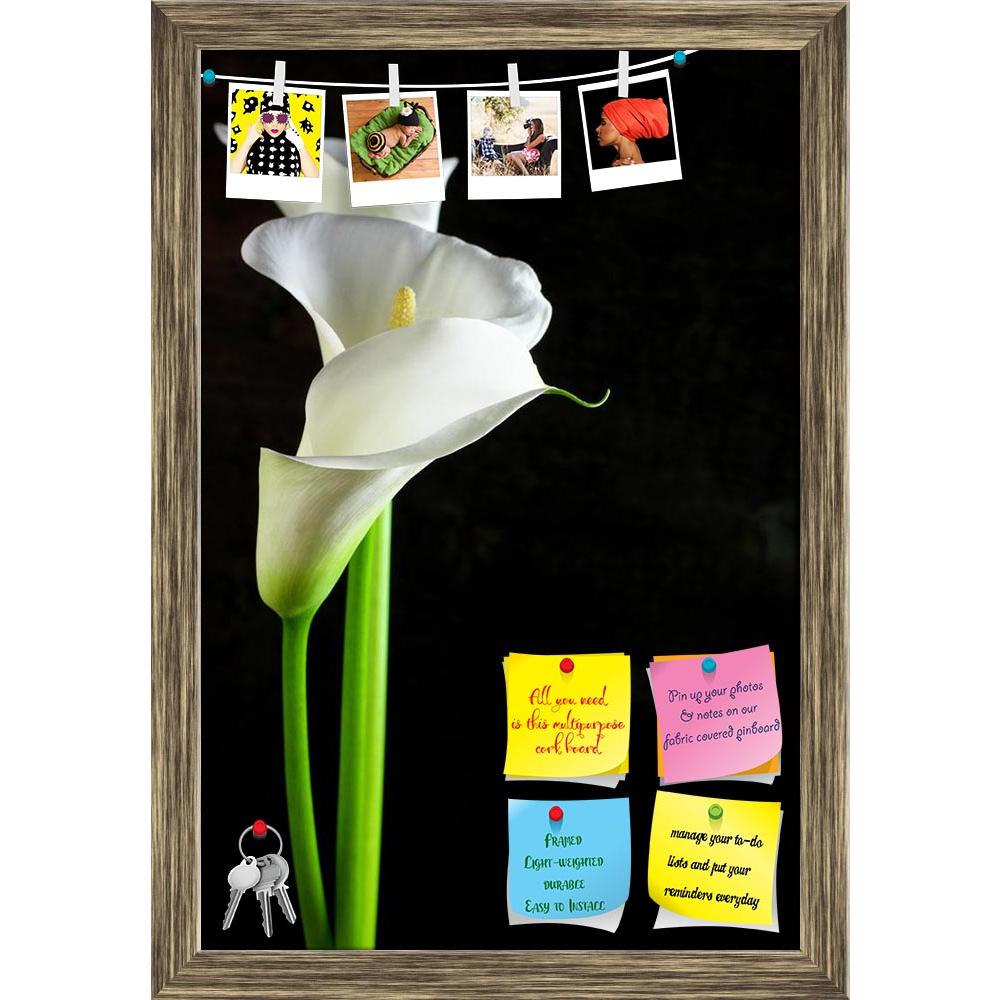 ArtzFolio Bouquet Of Calla Lilies Printed Bulletin Board Notice Pin Board Soft Board | Framed-Bulletin Boards Framed-AZSAO30021201BLB_FR_L-Image Code 5003645 Vishnu Image Folio Pvt Ltd, IC 5003645, ArtzFolio, Bulletin Boards Framed, Floral, Photography, bouquet, of, calla, lilies, printed, bulletin, board, notice, pin, soft, framed, black, background, aethiopica, bloom, blossom, botany, copy, space, elegance, elegant, flora, flower, flowers, fragile, fragility, freshness, grace, head, innocence, lilly, lily