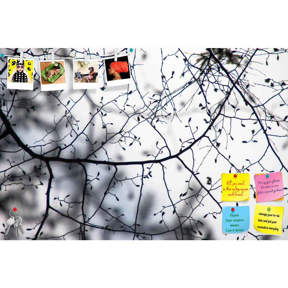 ArtzFolio Spring Tree Branches Printed Bulletin Board Notice Pin Board Soft Board | Frameless-Bulletin Boards Frameless-AZSAO30034535BLB_FL_L-Image Code 5003650 Vishnu Image Folio Pvt Ltd, IC 5003650, ArtzFolio, Bulletin Boards Frameless, Landscapes, Photography, spring, tree, branches, printed, bulletin, board, notice, pin, soft, frameless, beautiful, silhuettes, artistic, black, branch, bud, close, close-up, color, environment, flora, forest, fresh, horizontal, light, minimalism, minimalistic, moscow, reg