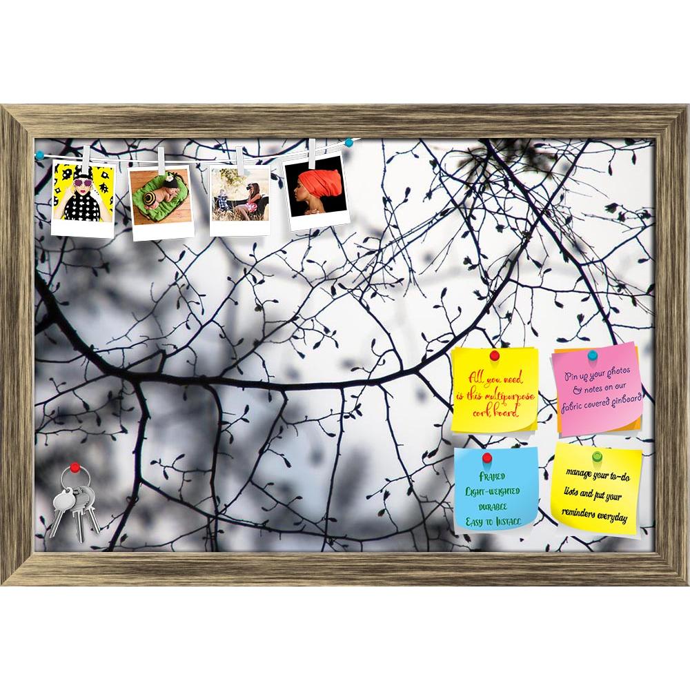ArtzFolio Spring Tree Branches Printed Bulletin Board Notice Pin Board Soft Board | Framed-Bulletin Boards Framed-AZSAO30034535BLB_FR_L-Image Code 5003650 Vishnu Image Folio Pvt Ltd, IC 5003650, ArtzFolio, Bulletin Boards Framed, Landscapes, Photography, spring, tree, branches, printed, bulletin, board, notice, pin, soft, framed, beautiful, silhuettes, artistic, black, branch, bud, close, close-up, color, environment, flora, forest, fresh, horizontal, light, minimalism, minimalistic, moscow, region, natural