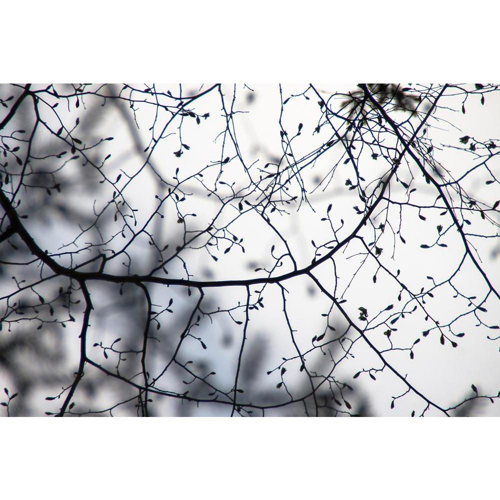 ArtzFolio Spring Tree Branches Unframed Paper Poster-Paper Posters Unframed-AZART30034535POS_UN_L-Image Code 5003650 Vishnu Image Folio Pvt Ltd, IC 5003650, ArtzFolio, Paper Posters Unframed, Landscapes, Photography, spring, tree, branches, unframed, paper, poster, wall, large, size, for, living, room, home, decoration, big, framed, decor, posters, pitaara, box, modern, art, with, frame, bedroom, amazonbasics, door, drawing, small, decorative, office, reception, multiple, friends, images, reprints, reprint,