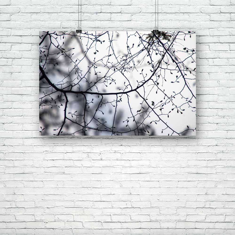 Spring Tree Branches Unframed Paper Poster-Paper Posters Unframed-POS_UN-IC 5003650 IC 5003650, Art and Paintings, Black, Black and White, Botanical, Floral, Flowers, Minimalism, Nature, Patterns, People, Russian, Scenic, Seasons, White, spring, tree, branches, unframed, paper, poster, artistic, beautiful, branch, bud, close, up, color, environment, flora, forest, fresh, horizontal, light, minimalistic, natural, new, no, part, pattern, plant, russia, season, silhouette, summer, young, artzfolio, posters, wa