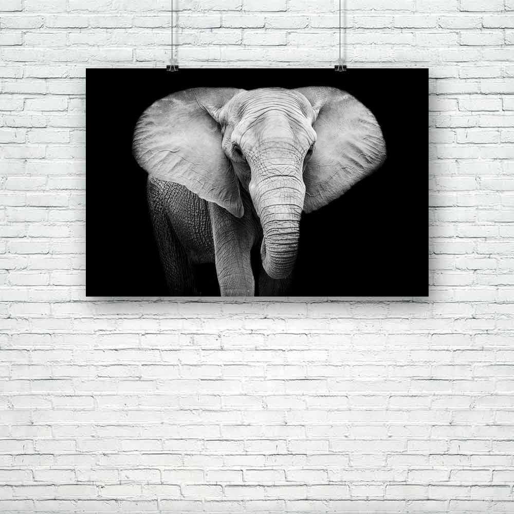 Elephant D8 Unframed Paper Poster-Paper Posters Unframed-POS_UN-IC 5003652 IC 5003652, African, Animals, Black, Black and White, Individuals, Nature, Portraits, Scenic, Wildlife, elephant, d8, unframed, paper, poster, elephants, head, aged, animal, big, brown, close, closeup, danger, detail, ear, endangered, eye, face, feed, female, hide, jungle, large, look, old, one, portrait, powerful, profile, skin, skinned, slow, species, strong, texture, thick, threatened, tough, trunk, tusk, up, wild, wise, wrinkled,