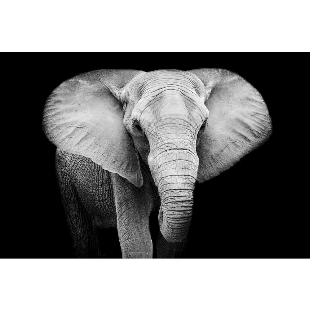 Elephant Canvas Painting Synthetic Frame-Paintings MDF Framing-AFF_FR-IC 5003652 IC 5003652, African, Animals, Black, Black and White, Individuals, Nature, Portraits, Scenic, Wildlife, elephant, canvas, painting, synthetic, frame, elephants, head, aged, animal, big, brown, close, closeup, danger, detail, ear, endangered, eye, face, feed, female, hide, jungle, large, look, old, one, portrait, powerful, profile, skin, skinned, slow, species, strong, texture, thick, threatened, tough, trunk, tusk, up, wild, wi