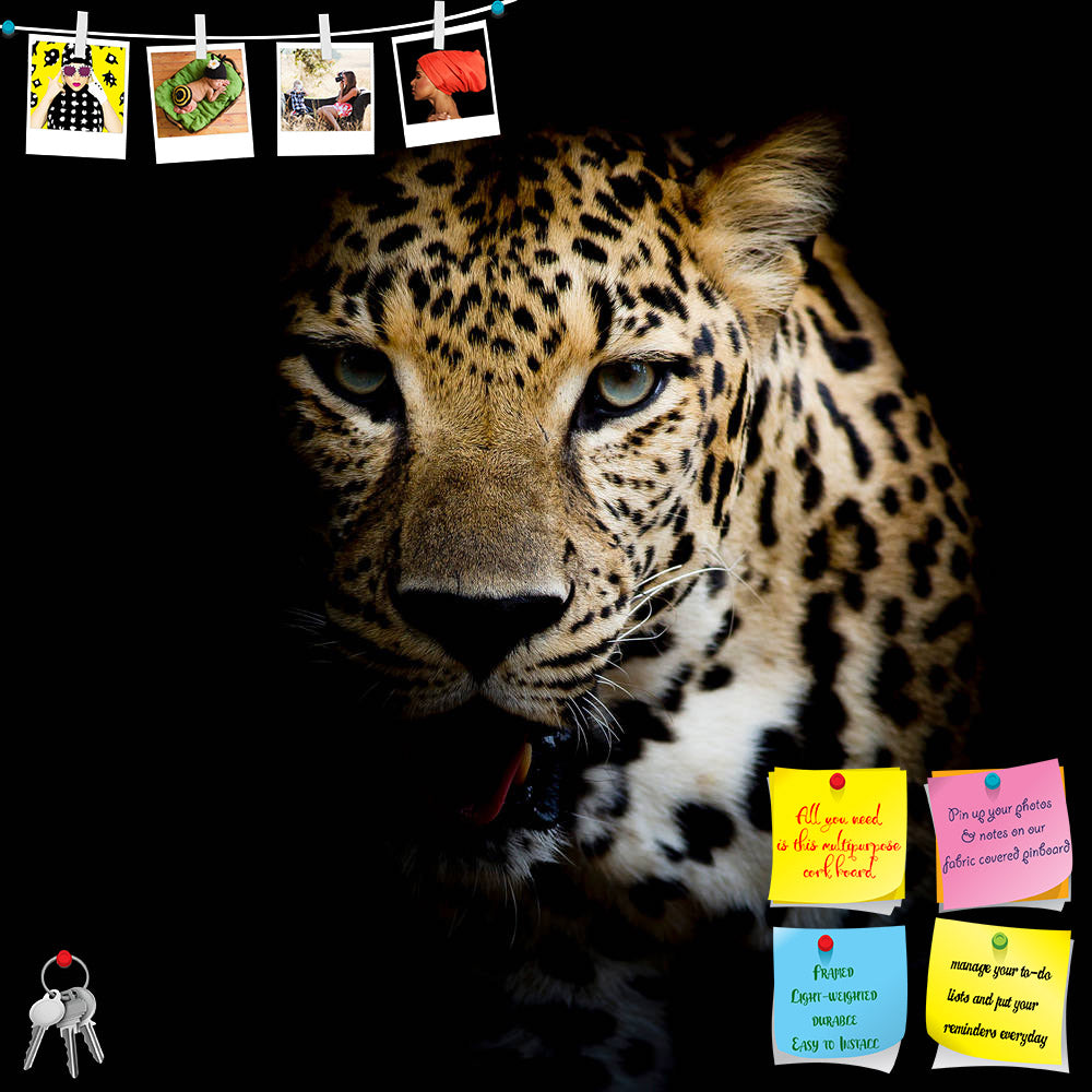 ArtzFolio Close Up Leopard Portrait Printed Bulletin Board Notice Pin Board Soft Board | Frameless-Bulletin Boards Frameless-AZSAO30549741BLB_FL_L-Image Code 5003707 Vishnu Image Folio Pvt Ltd, IC 5003707, ArtzFolio, Bulletin Boards Frameless, Animals, Photography, close, up, leopard, portrait, printed, bulletin, board, notice, pin, soft, frameless, africa, african, animal, art, artistic, b, big, black, bush, carnivore, cat, close-up, closeup, dangerous, display, ferocious, fierce, head, image, kruger, lick
