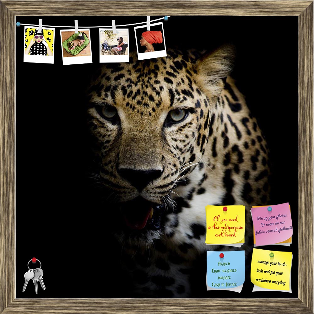 ArtzFolio Close Up Leopard Portrait Printed Bulletin Board Notice Pin Board Soft Board | Framed-Bulletin Boards Framed-AZSAO30549741BLB_FR_L-Image Code 5003707 Vishnu Image Folio Pvt Ltd, IC 5003707, ArtzFolio, Bulletin Boards Framed, Animals, Photography, close, up, leopard, portrait, printed, bulletin, board, notice, pin, soft, framed, africa, african, animal, art, artistic, b, big, black, bush, carnivore, cat, close-up, closeup, dangerous, display, ferocious, fierce, head, image, kruger, lick, monochrome