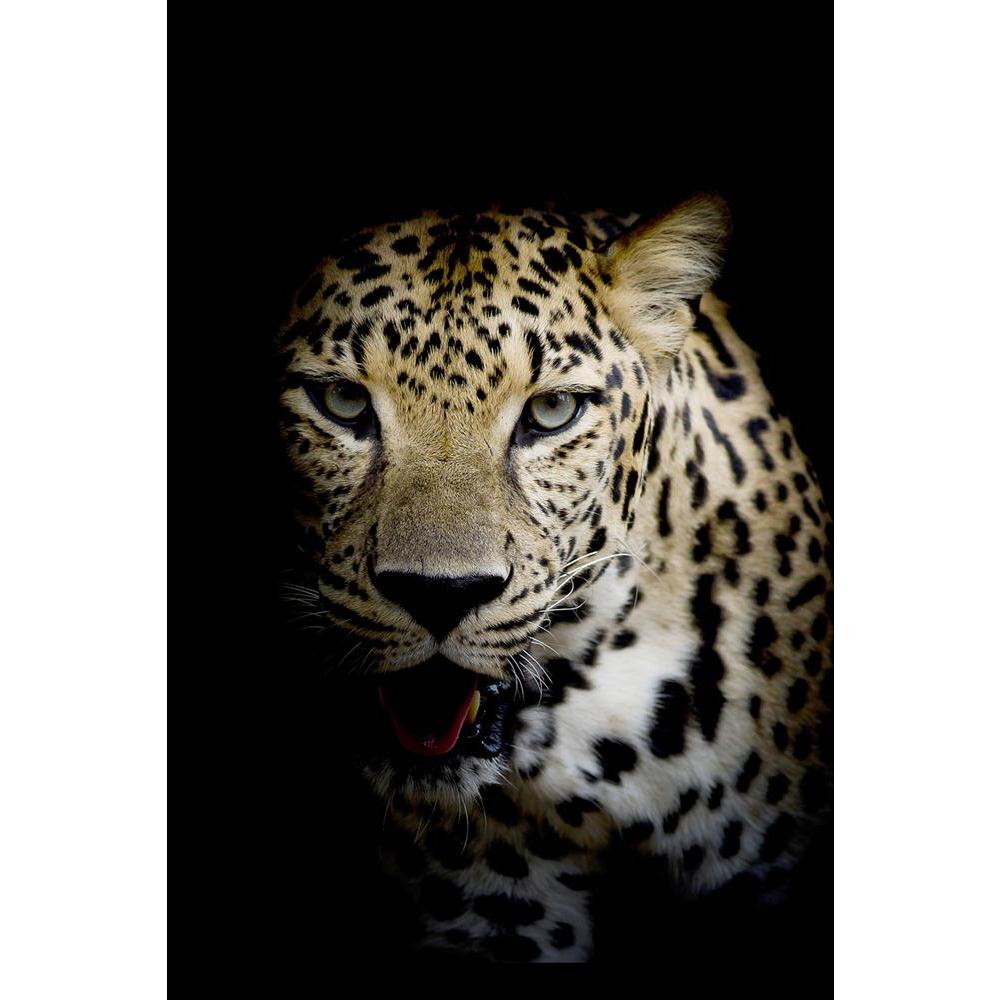 ArtzFolio Close Up Leopard Portrait Unframed Paper Poster-Paper Posters Unframed-AZART30549741POS_UN_L-Image Code 5003707 Vishnu Image Folio Pvt Ltd, IC 5003707, ArtzFolio, Paper Posters Unframed, Animals, Photography, close, up, leopard, portrait, unframed, paper, poster, wall, large, size, for, living, room, home, decoration, big, framed, decor, posters, pitaara, box, modern, art, with, frame, bedroom, amazonbasics, door, drawing, small, decorative, office, reception, multiple, friends, images, reprints, 