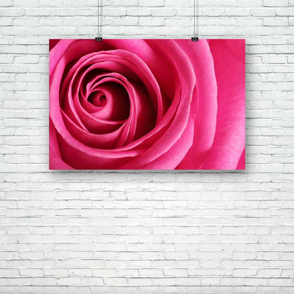 Flower D2 Unframed Paper Poster-Paper Posters Unframed-POS_UN-IC 5003719 IC 5003719, Art and Paintings, Botanical, Floral, Flowers, Hearts, Holidays, Love, Nature, Romance, Scenic, Signs and Symbols, Symbols, Wedding, flower, d2, unframed, paper, poster, rose, pink, roses, red, close, up, perfume, affection, anniversary, aroma, aromatherapy, back, background, beautiful, beauty, bloom, blossom, bud, delicate, detail, elegant, fragrant, fresh, garden, gift, glamour, gorgeous, holiday, macro, marriage, odor, p