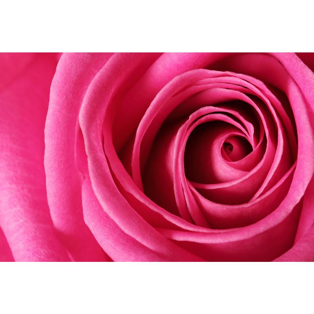 Flower Canvas Painting Synthetic Frame-Paintings MDF Framing-AFF_FR-IC 5003719 IC 5003719, Art and Paintings, Botanical, Floral, Flowers, Hearts, Holidays, Love, Nature, Romance, Scenic, Signs and Symbols, Symbols, Wedding, flower, canvas, painting, synthetic, frame, rose, pink, roses, red, close, up, perfume, affection, anniversary, aroma, aromatherapy, back, background, beautiful, beauty, bloom, blossom, bud, delicate, detail, elegant, fragrant, fresh, garden, gift, glamour, gorgeous, holiday, macro, marr