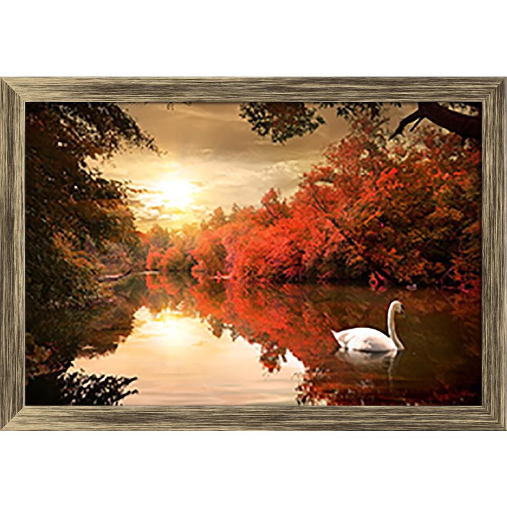 Pitaara Box Swan In The Autmn Canvas Painting Synthetic Frame-Paintings Synthetic Framing-PBART30716225AFF_FW_L-Image Code 5003730 Vishnu Image Folio Pvt Ltd, IC 5003730, Pitaara Box, Paintings Synthetic Framing, Birds, Landscapes, Photography, swan, in, the, autmn, canvas, painting, synthetic, frame, autumn, forest, landscape, nature, bird, river, season, sunlight, tree, water, branch, red, environment, morning, outdoors, park, plant, reflection, cloud, yellow, beautiful, bush, lake, light, natural, day, w