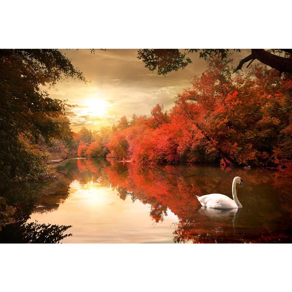 Pitaara Box Swan In The Autmn Canvas Painting Synthetic Frame-Paintings MDF Framing-PBART30716225AFF_FR_L-Image Code 5003730 Vishnu Image Folio Pvt Ltd, IC 5003730, Pitaara Box, Paintings MDF Framing, Birds, Landscapes, Photography, swan, in, the, autmn, canvas, painting, synthetic, frame, autumn, forest, landscape, nature, bird, river, season, sunlight, tree, water, branch, red, environment, morning, outdoors, park, plant, reflection, cloud, yellow, beautiful, bush, lake, light, natural, day, wood, beauty,