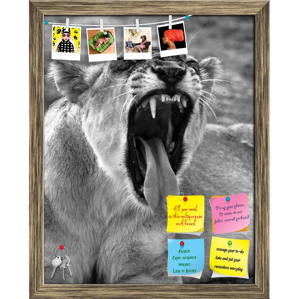 ArtzFolio Wild African Lion D1 Printed Bulletin Board Notice Pin Board Soft Board | Framed-Bulletin Boards Framed-AZSAO30716419BLB_FR_L-Image Code 5003731 Vishnu Image Folio Pvt Ltd, IC 5003731, ArtzFolio, Bulletin Boards Framed, Animals, Photography, wild, african, lion, d1, printed, bulletin, board, notice, pin, soft, framed, displaying, teeth, africa, animal, beautiful, big, five, carnivore, cat, dangerous, east, endangered, family, feline, female, hunter, king, large, mammal, national, park, nature, res