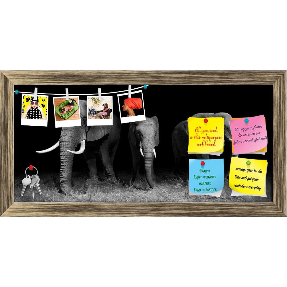 ArtzFolio Wild African Elephants Printed Bulletin Board Notice Pin Board Soft Board | Framed-Bulletin Boards Framed-AZSAO30716431BLB_FR_L-Image Code 5003732 Vishnu Image Folio Pvt Ltd, IC 5003732, ArtzFolio, Bulletin Boards Framed, Animals, Photography, wild, african, elephants, printed, bulletin, board, notice, pin, soft, framed, black, white, botswana, elephant, africa, animal, big, conservation, endangered, herbivore, huge, ivory, large, loxodonta, mammal, nature, okavango, delta, pachyderm, safari, stro