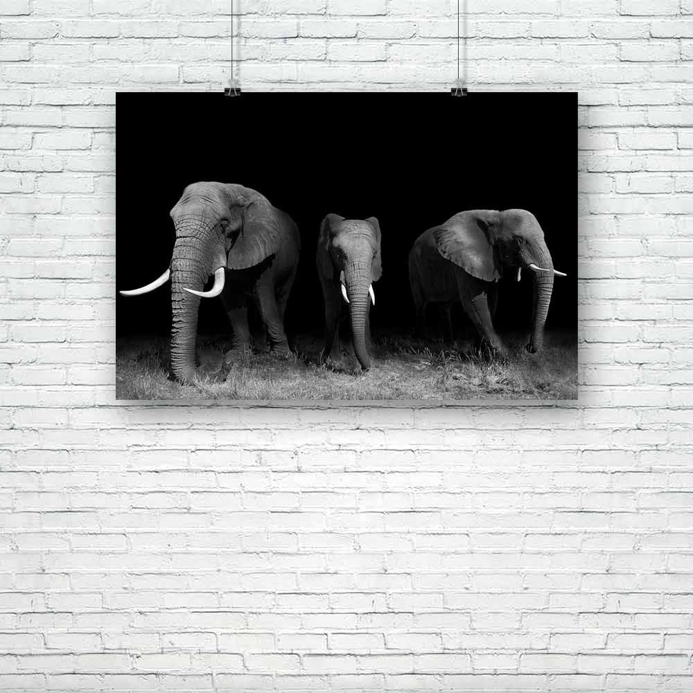 Wild African Elephants Unframed Paper Poster-Paper Posters Unframed-POS_UN-IC 5003732 IC 5003732, African, Animals, Automobiles, Black, Black and White, Nature, Scenic, Transportation, Travel, Vehicles, White, Wildlife, wild, elephants, unframed, paper, poster, africa, animal, big, botswana, conservation, elephant, endangered, herbivore, huge, ivory, large, loxodonta, mammal, pachyderm, safari, strong, tourism, tourist, trunk, tusks, artzfolio, posters, wall posters, posters for room, posters for room decor