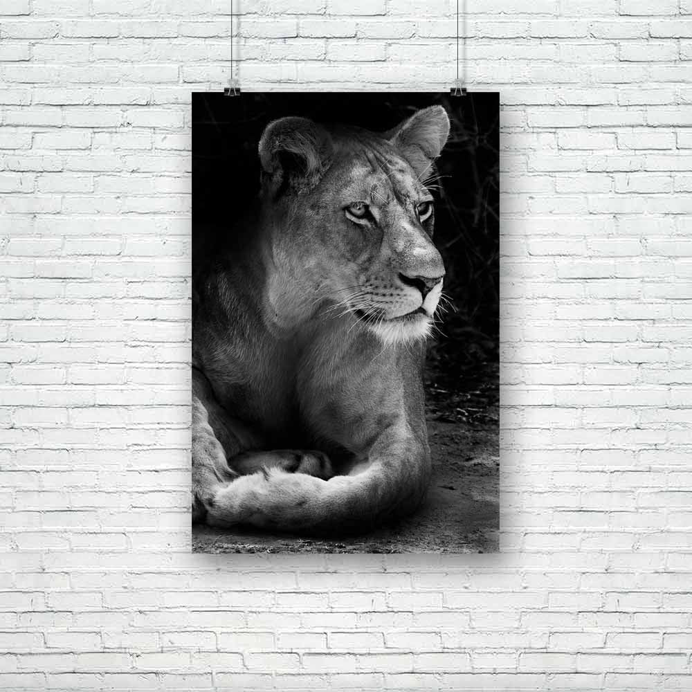 Wild African Lion D2 Unframed Paper Poster-Paper Posters Unframed-POS_UN-IC 5003733 IC 5003733, African, Animals, Family, Nature, Scenic, Wildlife, wild, lion, d2, unframed, paper, poster, africa, animal, beautiful, big, five, carnivore, cat, dangerous, east, endangered, feline, female, hunter, king, large, mammal, national, park, outdoors, predator, safari, savanna, wilderness, artzfolio, posters, wall posters, posters for room, posters for room decoration, office poster, door poster, baby poster, motivati