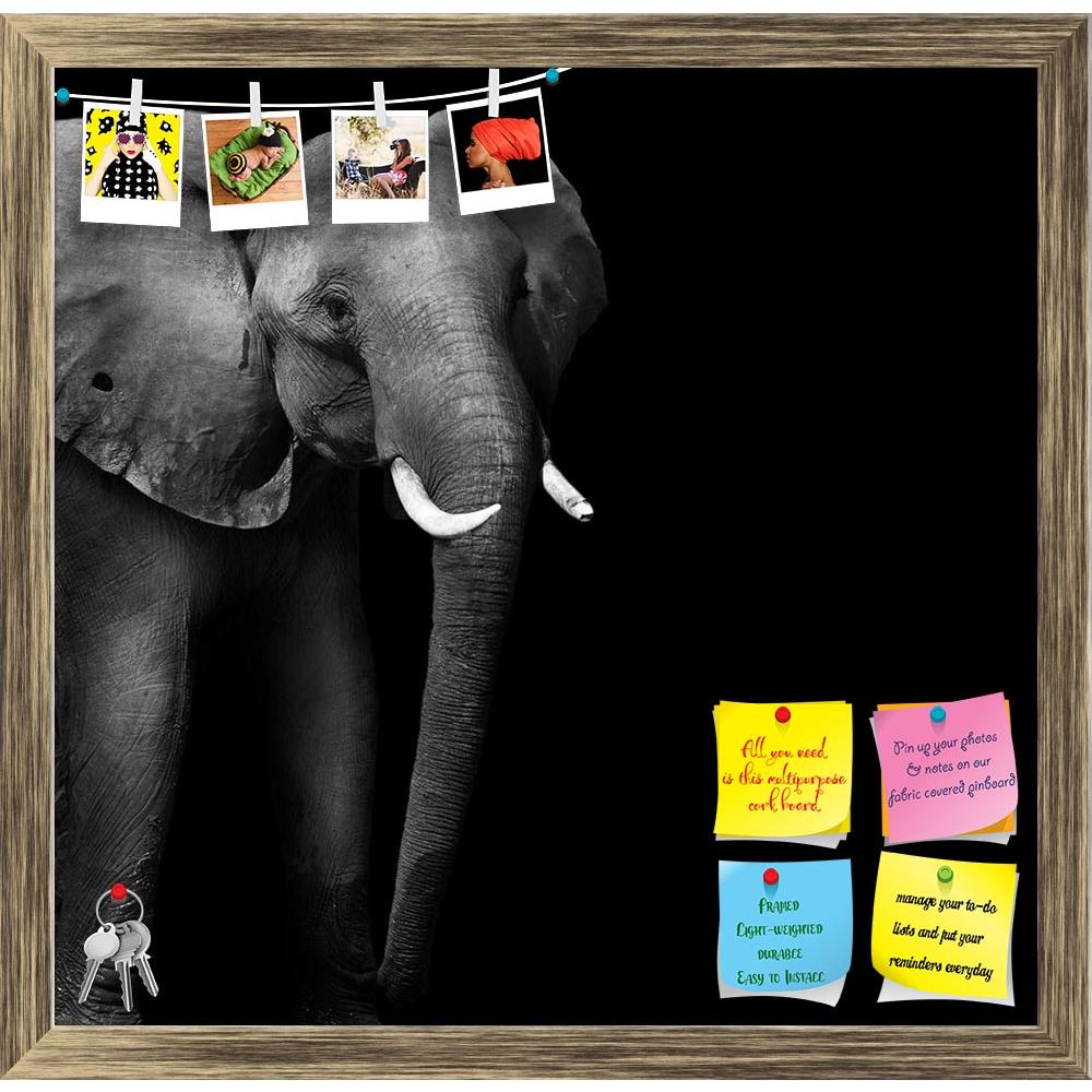 ArtzFolio Wild African Elephant D3 Printed Bulletin Board Notice Pin Board Soft Board | Framed-Bulletin Boards Framed-AZSAO30718865BLB_FR_L-Image Code 5003735 Vishnu Image Folio Pvt Ltd, IC 5003735, ArtzFolio, Bulletin Boards Framed, Animals, Photography, wild, african, elephant, d3, printed, bulletin, board, notice, pin, soft, framed, monochrome, copy, space, texture, aged, animal, big, black, brown, close, closeup, danger, detail, ear, endangered, eye, face, feed, female, head, hide, jungle, large, look, 