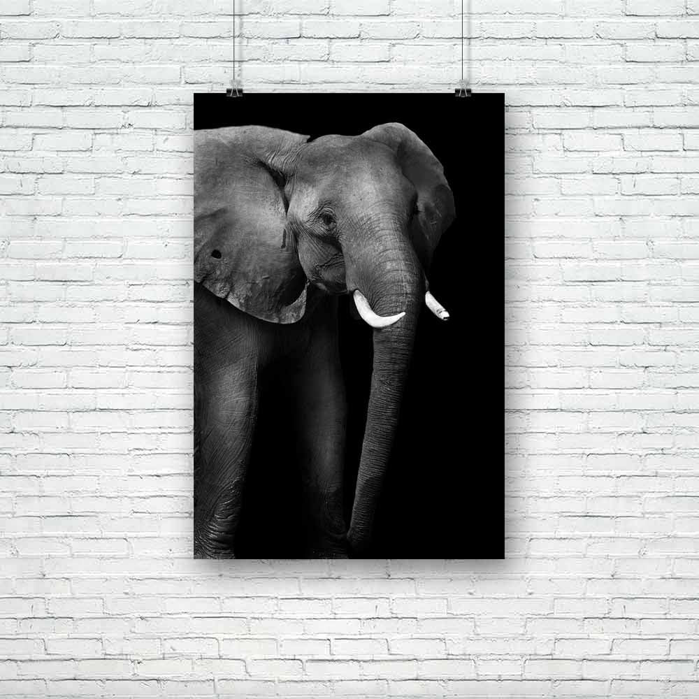 Wild African Elephant D3 Unframed Paper Poster-Paper Posters Unframed-POS_UN-IC 5003735 IC 5003735, African, Animals, Black, Black and White, Individuals, Nature, Portraits, Scenic, Space, Wildlife, wild, elephant, d3, unframed, paper, poster, head, aged, animal, big, brown, close, closeup, danger, detail, ear, endangered, eye, face, feed, female, hide, jungle, large, look, old, one, portrait, powerful, skin, skinned, slow, species, strong, texture, thick, threatened, tough, trunk, tusk, up, wise, wrinkled,