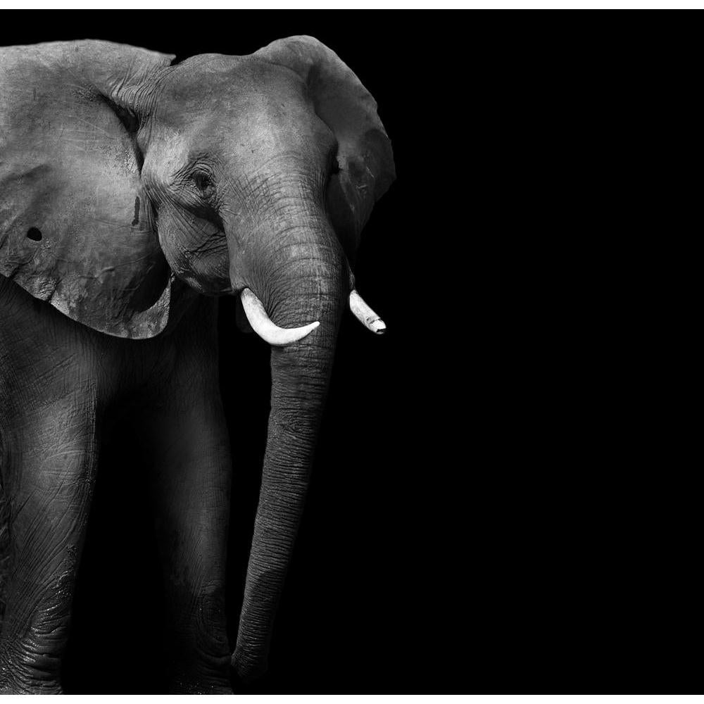 Wild African Elephant Canvas Painting Synthetic Frame-Paintings MDF Framing-AFF_FR-IC 5003735 IC 5003735, African, Animals, Black, Black and White, Individuals, Nature, Portraits, Scenic, Space, Wildlife, wild, elephant, canvas, painting, synthetic, frame, head, aged, animal, big, brown, close, closeup, danger, detail, ear, endangered, eye, face, feed, female, hide, jungle, large, look, old, one, portrait, powerful, skin, skinned, slow, species, strong, texture, thick, threatened, tough, trunk, tusk, up, wi