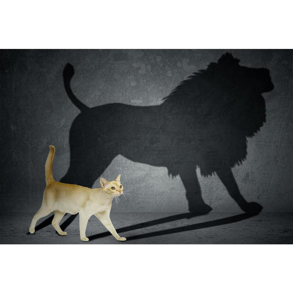 ArtzFolio Cat With Lion Shadow On The Wall Unframed Paper Poster-Paper Posters Unframed-AZART30804216POS_UN_L-Image Code 5003738 Vishnu Image Folio Pvt Ltd, IC 5003738, ArtzFolio, Paper Posters Unframed, Animals, Photography, cat, with, lion, shadow, on, the, wall, unframed, paper, poster, large, size, for, living, room, home, decoration, big, framed, decor, posters, pitaara, box, modern, art, frame, bedroom, amazonbasics, door, drawing, small, decorative, office, reception, multiple, friends, images, repri