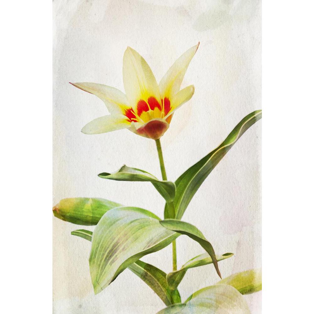 Watercolor Yellow Tulip Canvas Painting Synthetic Frame-Paintings MDF Framing-AFF_FR-IC 5003744 IC 5003744, Ancient, Art and Paintings, Botanical, Drawing, Floral, Flowers, Historical, Illustrations, Medieval, Nature, Paintings, Scenic, Seasons, Sketches, Vintage, Watercolour, watercolor, yellow, tulip, canvas, painting, synthetic, frame, art, beauty, blooming, blossom, botany, bud, color, elegance, flower, foliage, fragility, green, herb, illustration, image, inflorescence, leaf, nobody, one, painted, peta