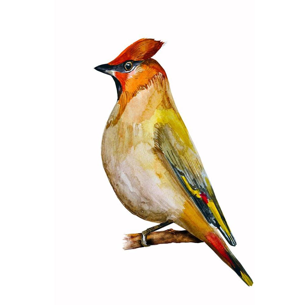 ArtzFolio Watercolor Bird D2 Unframed Paper Poster-Paper Posters Unframed-AZART31003318POS_UN_L-Image Code 5003752 Vishnu Image Folio Pvt Ltd, IC 5003752, ArtzFolio, Paper Posters Unframed, Birds, Fine Art Reprint, watercolor, bird, d2, unframed, paper, poster, wall, large, size, for, living, room, home, decoration, big, framed, decor, posters, pitaara, box, modern, art, with, frame, bedroom, amazonbasics, door, drawing, small, decorative, office, reception, multiple, friends, images, reprints, reprint, kid