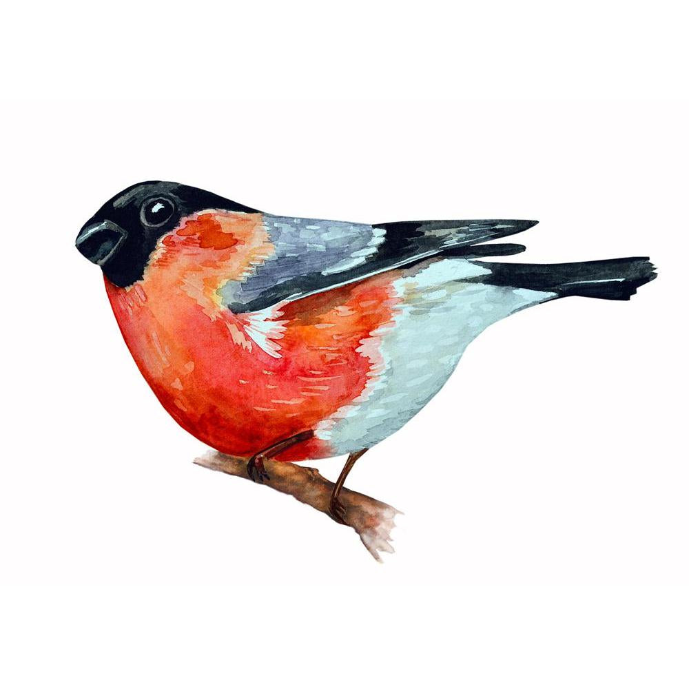 Watercolor Bird Canvas Painting Synthetic Frame-Paintings MDF Framing-AFF_FR-IC 5003753 IC 5003753, Ancient, Animals, Art and Paintings, Birds, Black, Black and White, Christianity, Digital, Digital Art, Drawing, Graphic, Historical, Illustrations, Medieval, Nature, Paintings, Scenic, Signs, Signs and Symbols, Vintage, Watercolour, White, Wildlife, watercolor, bird, canvas, painting, synthetic, frame, animal, art, artistic, artwork, avian, background, beautiful, beauty, branch, bright, bullfinch, card, chri