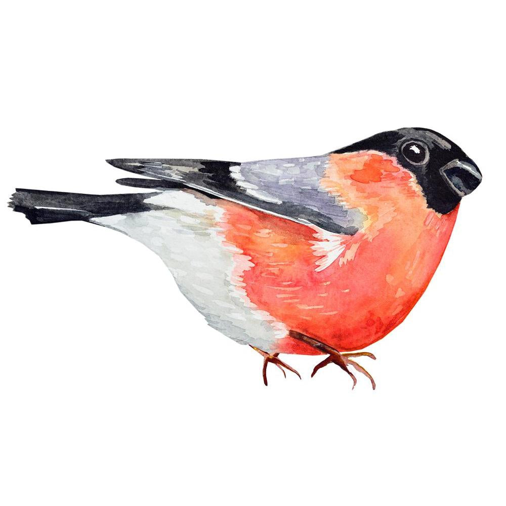 Watercolor Bird Canvas Painting Synthetic Frame-Paintings MDF Framing-AFF_FR-IC 5003754 IC 5003754, Ancient, Animals, Art and Paintings, Birds, Black, Black and White, Christianity, Digital, Digital Art, Drawing, Graphic, Historical, Illustrations, Medieval, Nature, Paintings, Scenic, Signs, Signs and Symbols, Vintage, Watercolour, White, Wildlife, watercolor, bird, canvas, painting, synthetic, frame, animal, art, artistic, artwork, avian, background, beautiful, beauty, bright, bullfinch, card, christmas, c