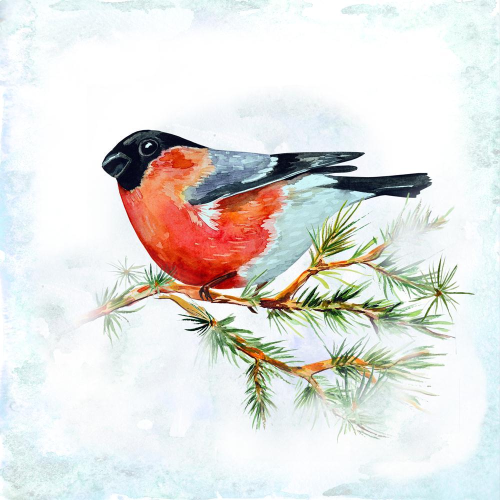 Watercolor Bird Canvas Painting Synthetic Frame-Paintings MDF Framing-AFF_FR-IC 5003756 IC 5003756, Ancient, Animals, Art and Paintings, Birds, Black, Black and White, Christianity, Digital, Digital Art, Drawing, Graphic, Historical, Illustrations, Medieval, Nature, Paintings, Scenic, Seasons, Signs, Signs and Symbols, Vintage, Watercolour, White, Wildlife, watercolor, bird, canvas, painting, synthetic, frame, animal, art, artistic, background, beak, beautiful, beauty, branch, bright, bullfinch, card, chris