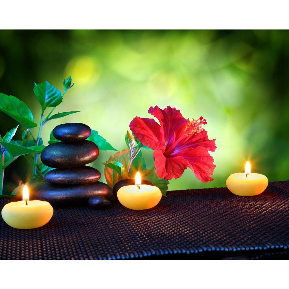 Spa Garden Canvas Painting Synthetic Frame-Paintings MDF Framing-AFF_FR-IC 5003765 IC 5003765, Asian, Black, Black and White, Botanical, Chinese, Culture, Ethnic, Floral, Flowers, Health, Marble and Stone, Nature, Scenic, Traditional, Tribal, World Culture, spa, garden, canvas, painting, synthetic, frame, zen, stones, alternative, aromatherapy, aromatic, candles, care, color, concept, flower, foliage, green, hibiscus, leaves, massage, meditation, natural, red, relax, relaxation, therapy, treatment, wellness